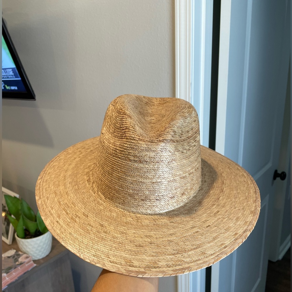 Palma fedora - Picture 2 of 6